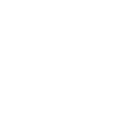 TA Swiss