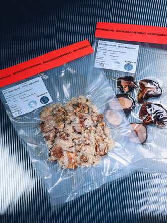 (Photo: Tobias Siebrecht)